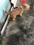 Marley