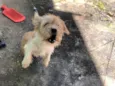 Marley
