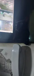Não sei