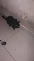 Não sei