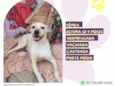 Lua