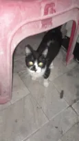 Kiara