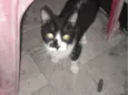 Kiara