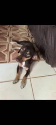 Princesa