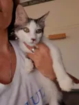Mateo