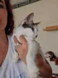 Mateo