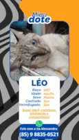 Leo