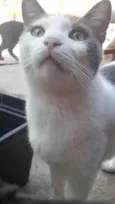 Tom