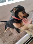 Coloquei o nome de spayk