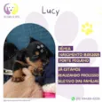 Lucy