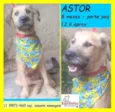 Astor