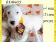 Bianco