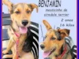 Benjamin