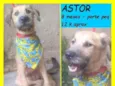 Astor