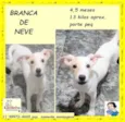 Branca de neve