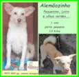 Alemãozinho