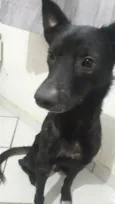 Negão