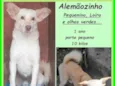 Alemãozinho