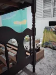 Filhotinhos de gato