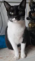 LORD