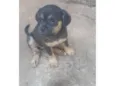 Sem nome