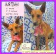Martinha