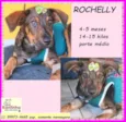 Rochelly