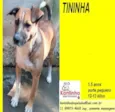 Tininha