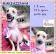 Mariazinha