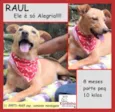 Raul