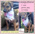 Casquinha