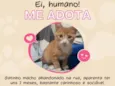Sem nome