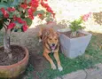 Marley