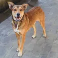Marley