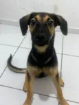 Billy