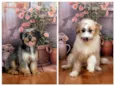 Xuxa&Sasha
