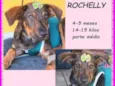Rochelly