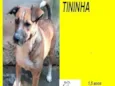 Tininha