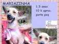 Mariazinha