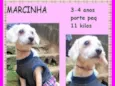 Marcinha