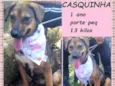 Casquinha