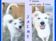 Jaime