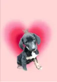Nutella bb2meses lindo