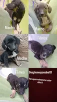 Nutella bb2meses lindo