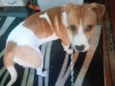 Simon bb10meses lindo
