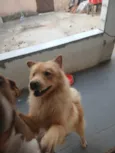 Bolinha