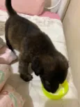 Lila