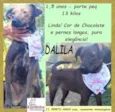 Dalila