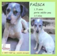Faísca