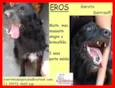 Eros